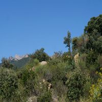 Photo de france - La randonnée du moulin de Ribaute